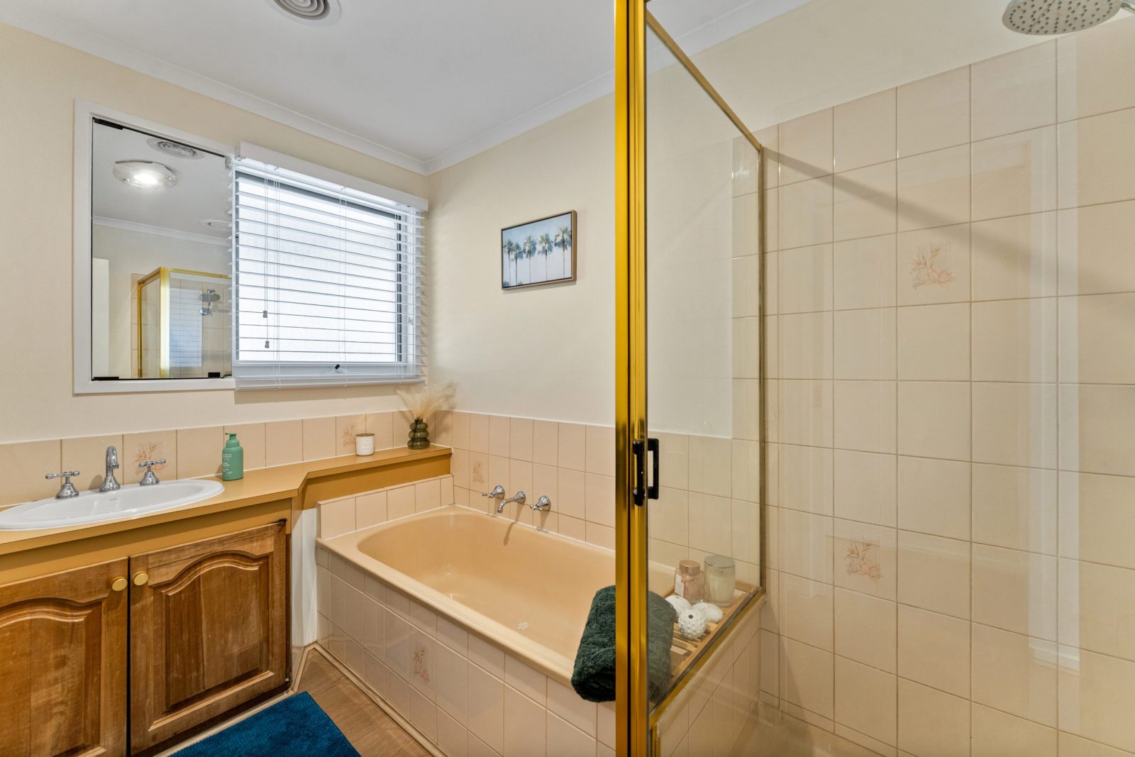 54 Ferndale Drive, Frankston