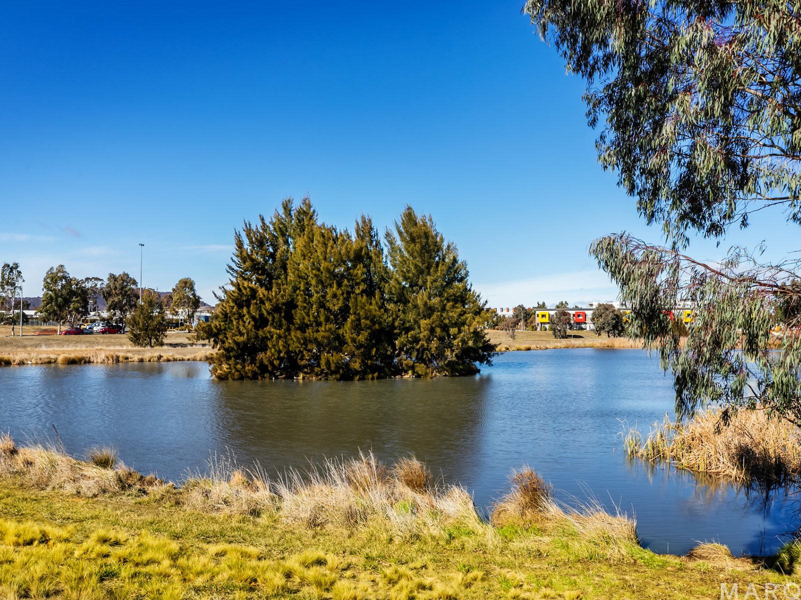 17 Olga Masters Street,