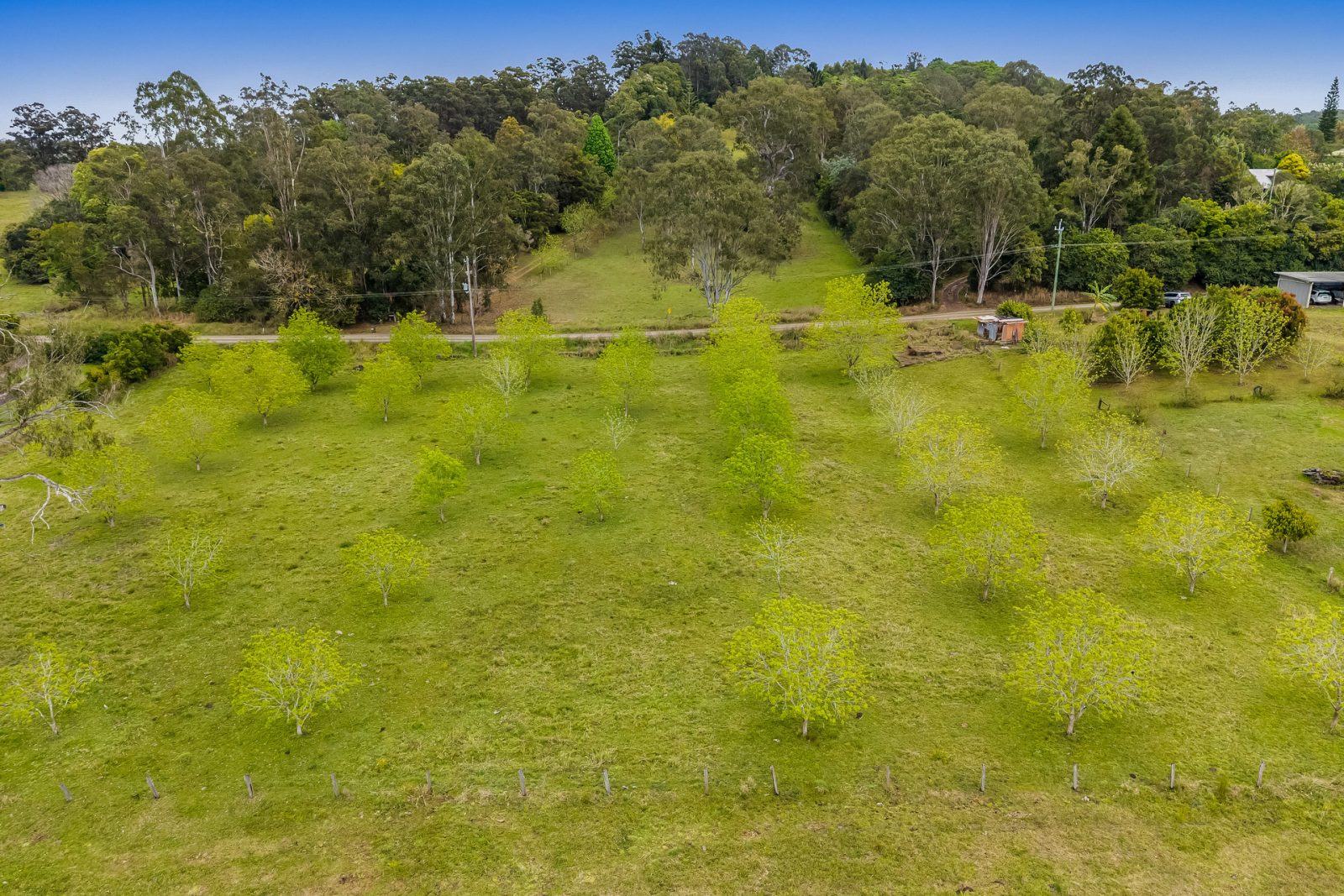 124 Boggumbil Road Jiggi NSW 2480