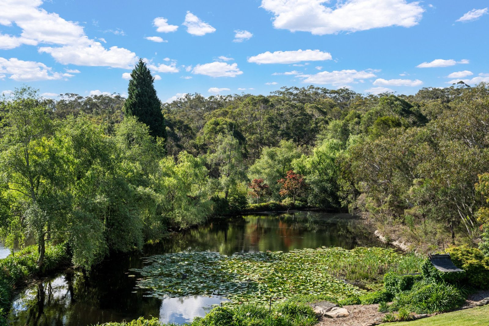 25 Nollands Road, ARCADIA NSW 2159