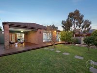 Thumbnail 12