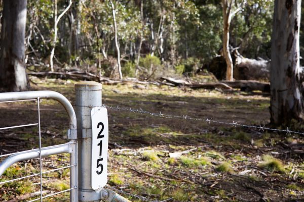 215 Golden Age Road, GROSSES PLAIN NSW 2627