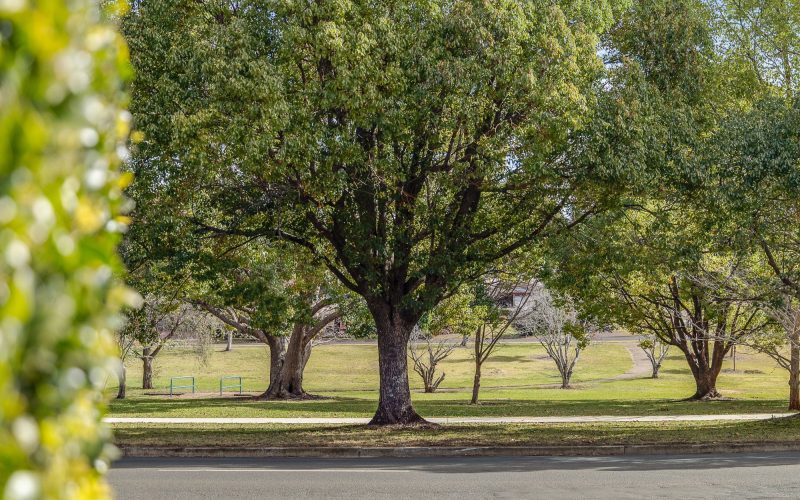 Charming Rangeville Gem with Parkside Views