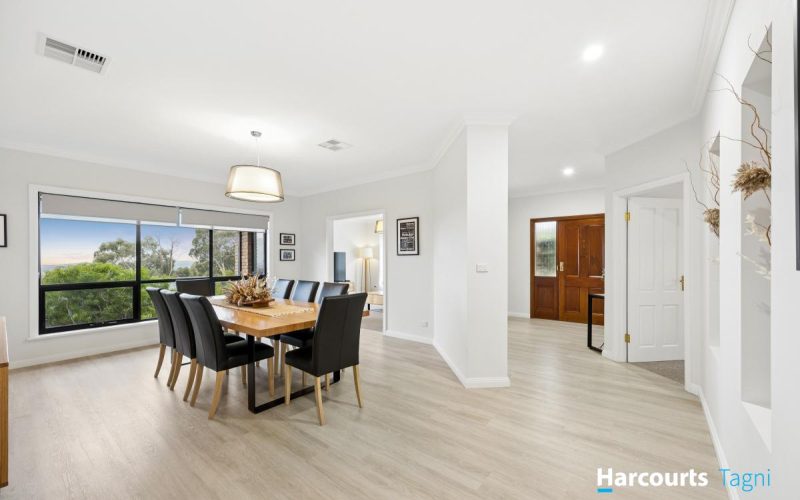Your Forever Home Above the Treetops and Coastline