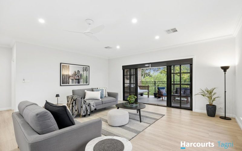 Your Forever Home Above the Treetops and Coastline