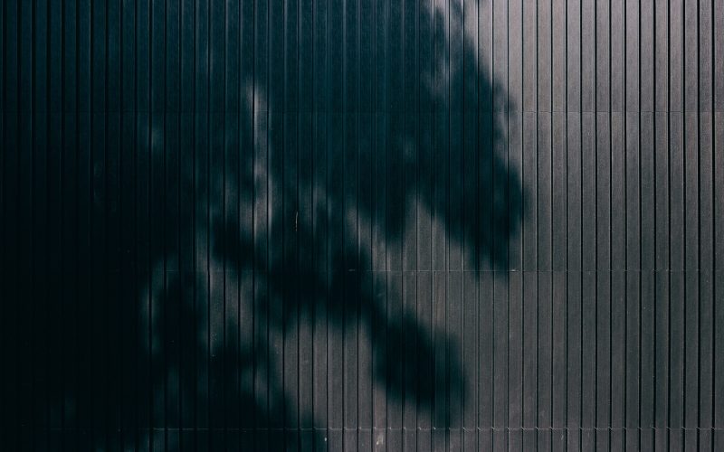 16 Lyell Street