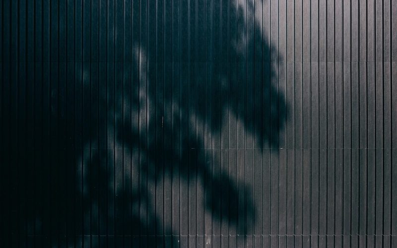 16 Lyell Street