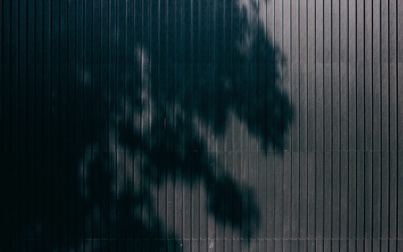 16 Lyell Street