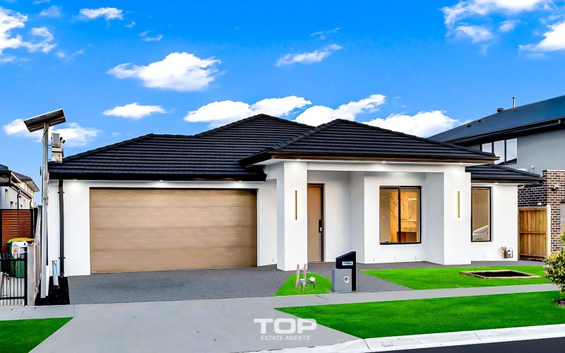 13 Ringtail Grove