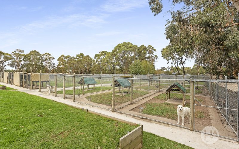 3 Martin Street, PEARCEDALE