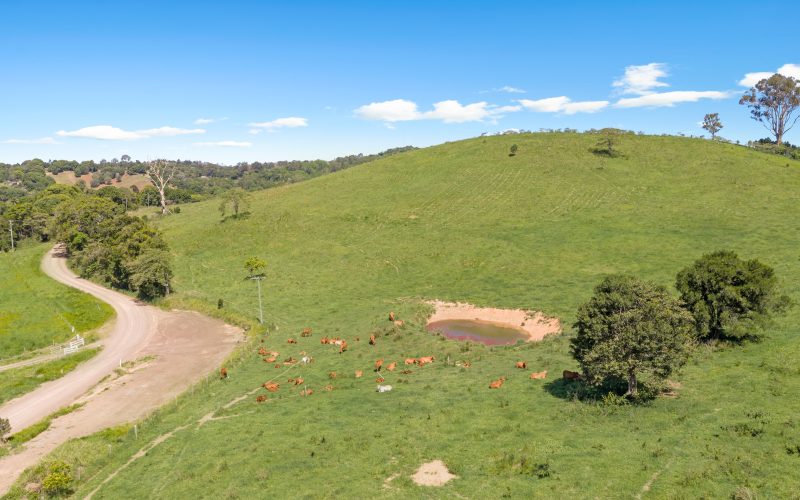 A Slice of Paradise: 124+ Acres of Ex-Dairy Country with Spectacular Noosa Hinterland Views!