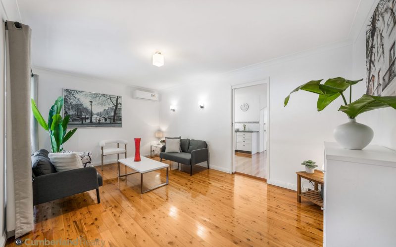 27 Benaud Street, Greystanes
