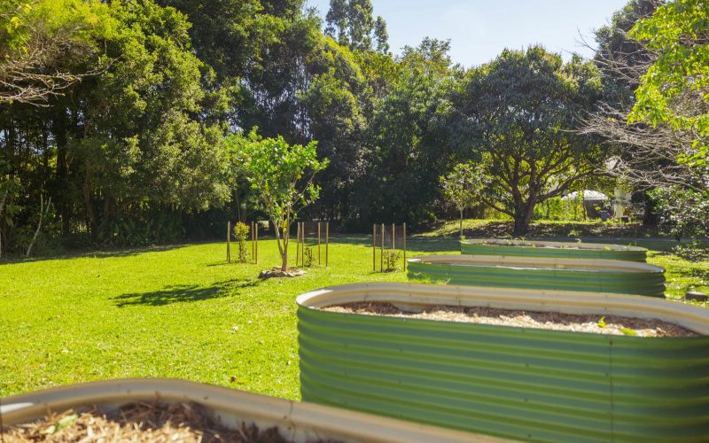 Offers over $1,450,000 Creek Way, Currumbin Valley