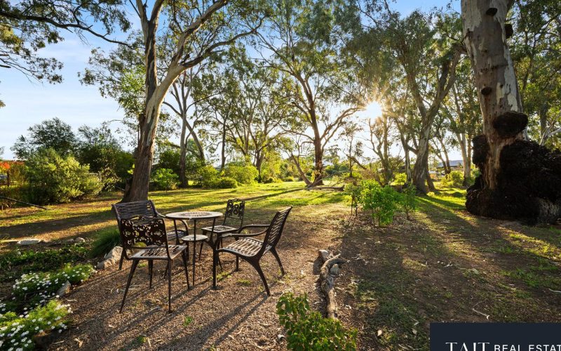 41 Pin Oak Drive