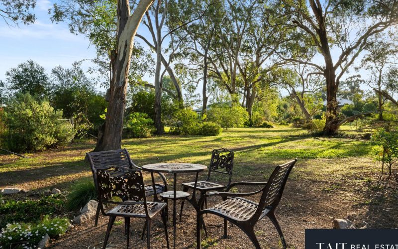 41 Pin Oak Drive