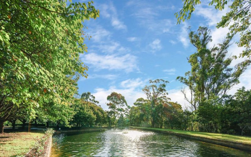 3 Glenroy Place, Middle Dural