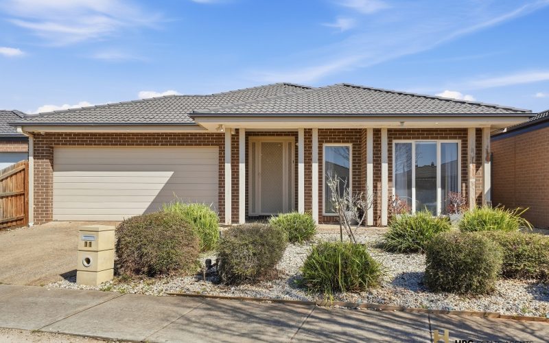 11 Abbott Street,