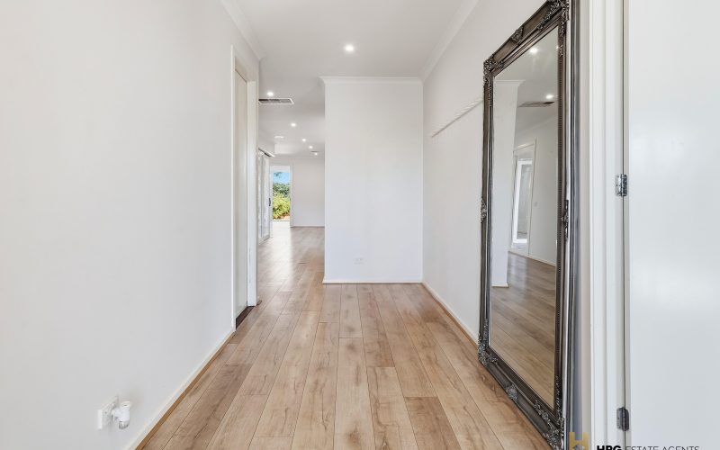 11 Abbott Street,