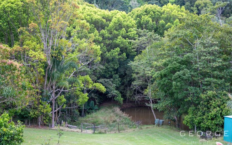 Country Life: Charm, Useable Acreage, Infrastructure & Flexibility!