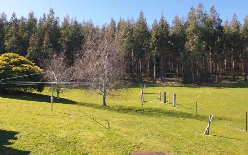 Enchanting 2 Bedroom Cabin on 3 Acres with Rolling Pastures