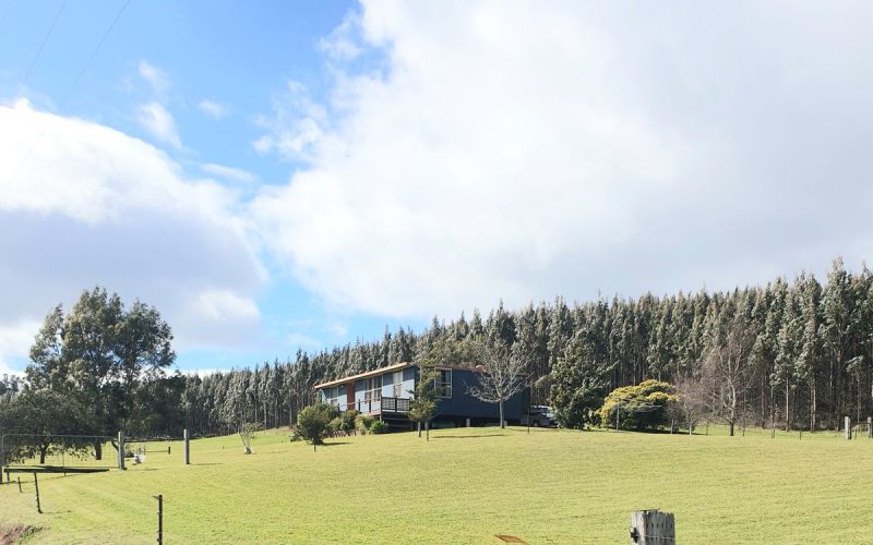 Enchanting 2 Bedroom Cabin on 3 Acres with Rolling Pastures
