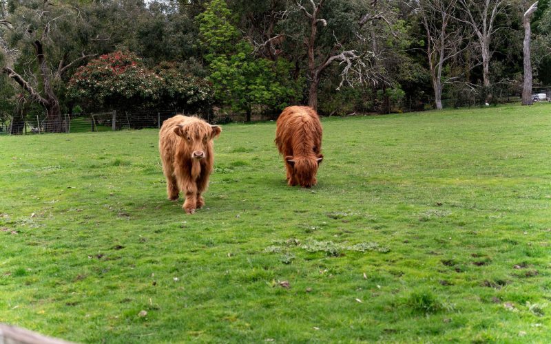 Your Next Acreage Story Starts Here!