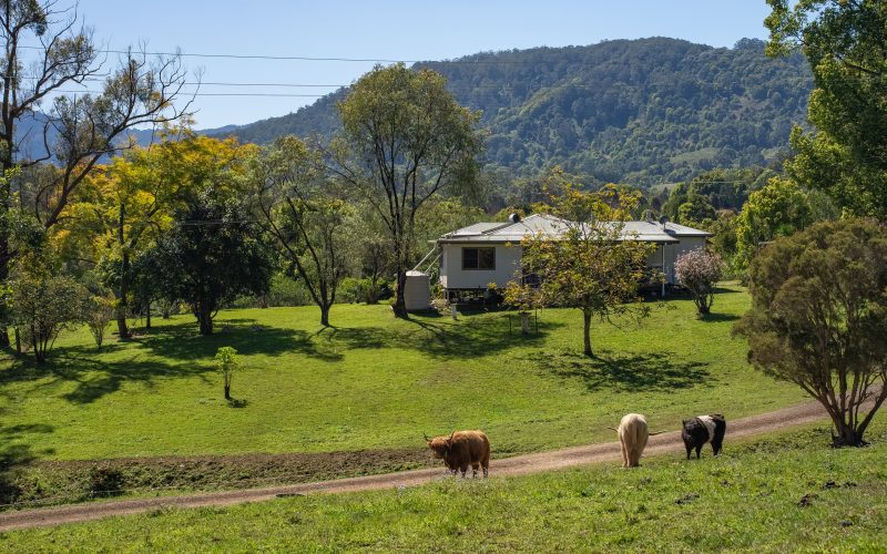 Brenda's House of Hope | A Country Escape With More Than One Place to Call Home