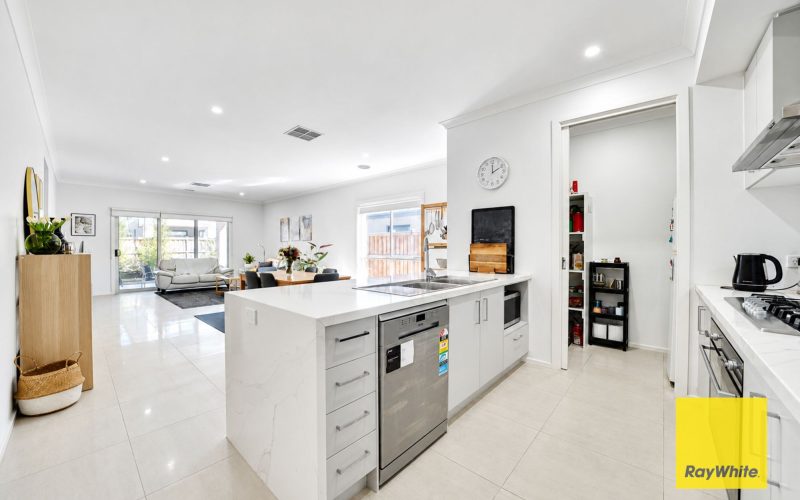 Spacious Family Living On A Large North-Facing Allotment