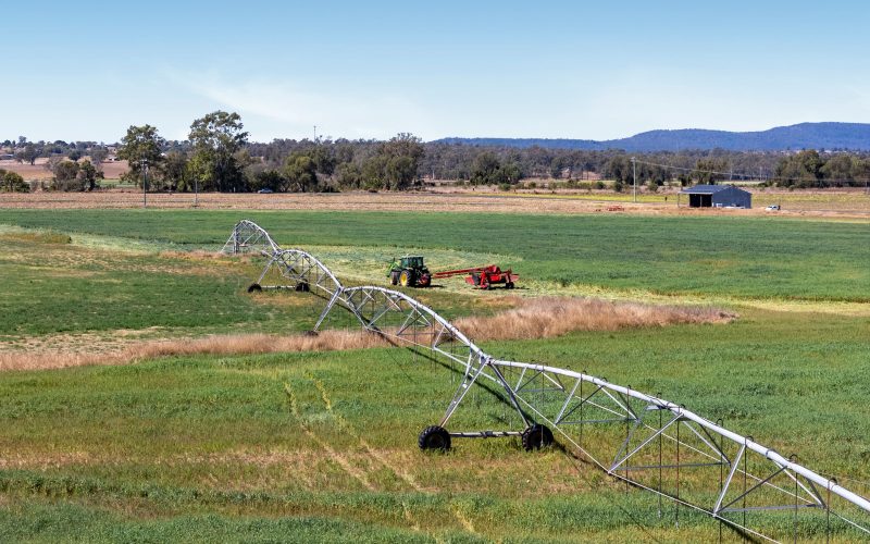Springvale Farms | A Lockyer Valley Holding Like No Other