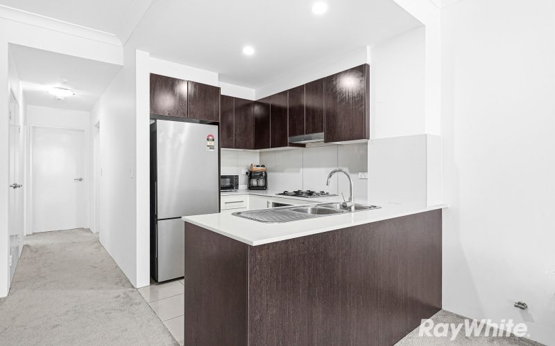 Spacious Full-Brick Apartment with Reserve Outlook in a Prime Location